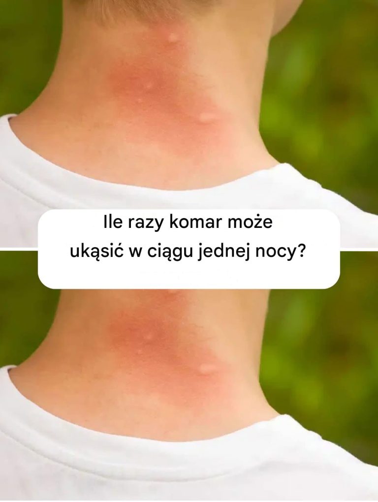 Ile razy komar może ukąsić w ciągu jednej nocy?