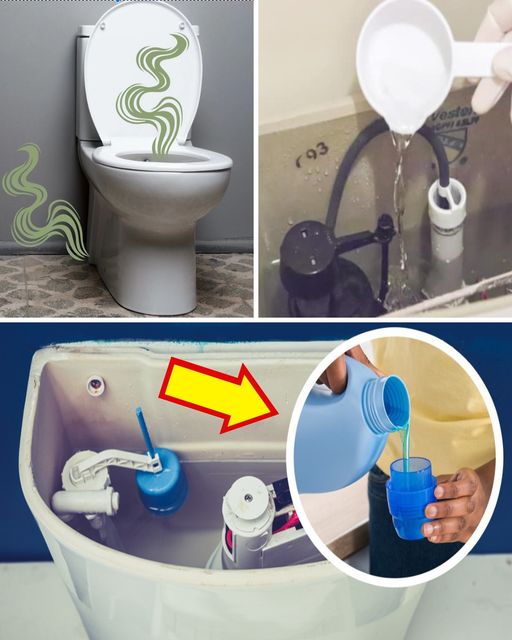 5 wskazówek, jak pozbyć się zapachu moczu w łazience