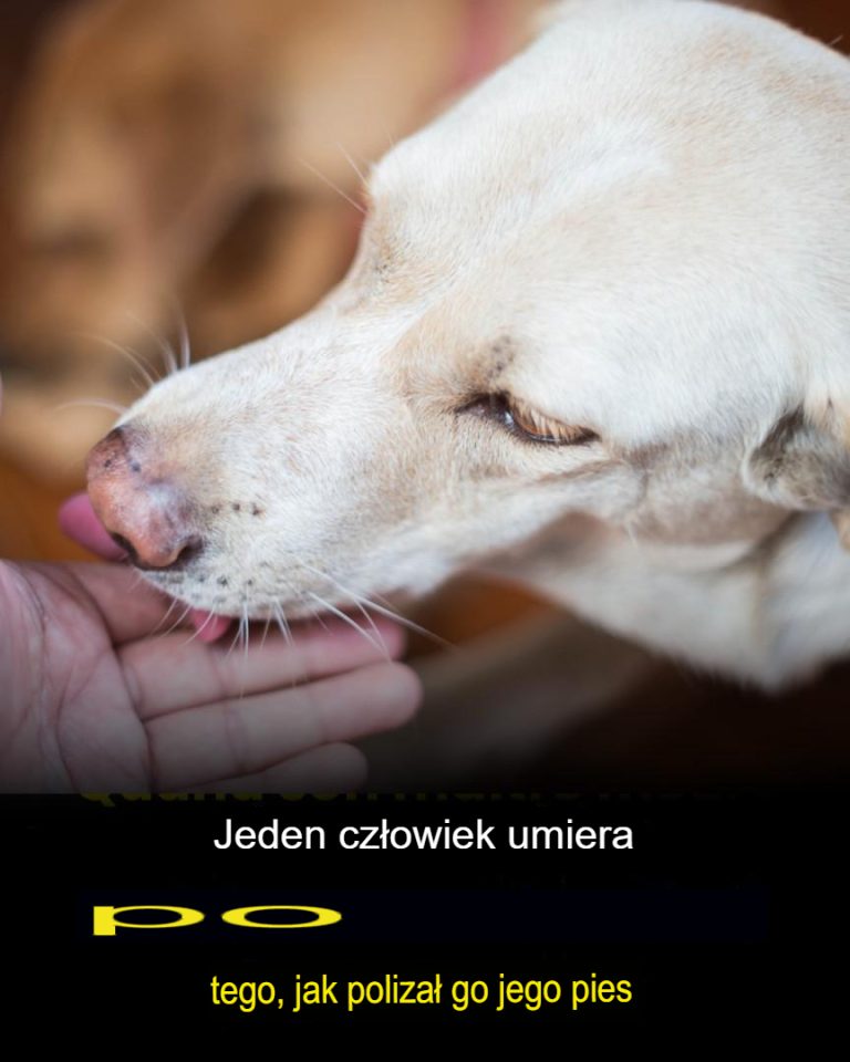 Mężczyzna zmarł po tym, jak został wylizany przez swojego psa