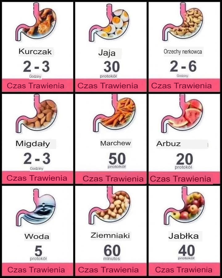 Jak długo trawi się Twoje ulubione jedzenie? Możesz się zdziwić!