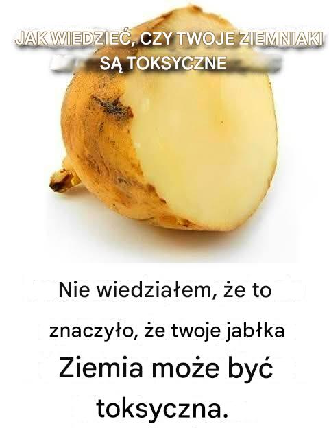 Jak stwierdzić, czy ziemniaki są trujące