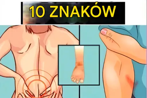 „Ciche wołanie nerek: 10 sygnałów, których nie wolno ignorować”