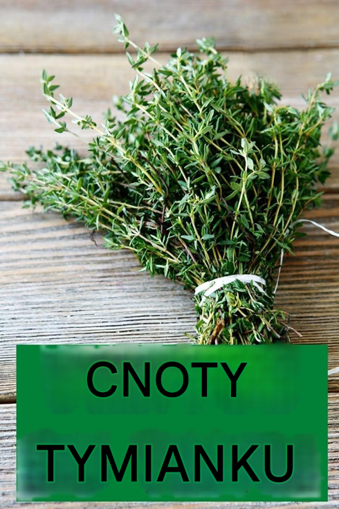 Korzyści z tymianku: mała roślina o ogromnych mocach