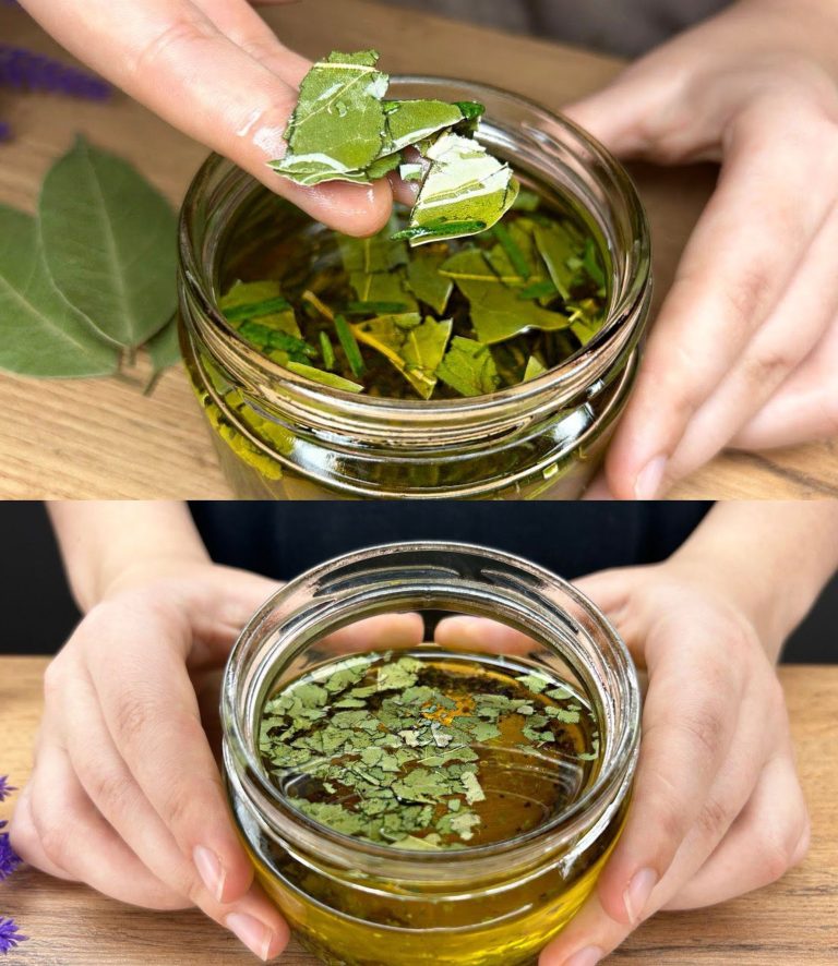 Dodaj liście laurowe do szklanki oliwy z oliwek: « warte swojej wagi w złocie » | Gdy zobaczysz efekt, nie poddasz się!