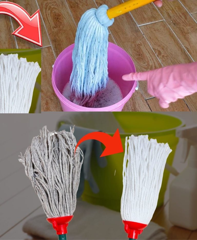 Odnów swój mop domowymi sposobami: dokładnie czyść i oszczędzaj!