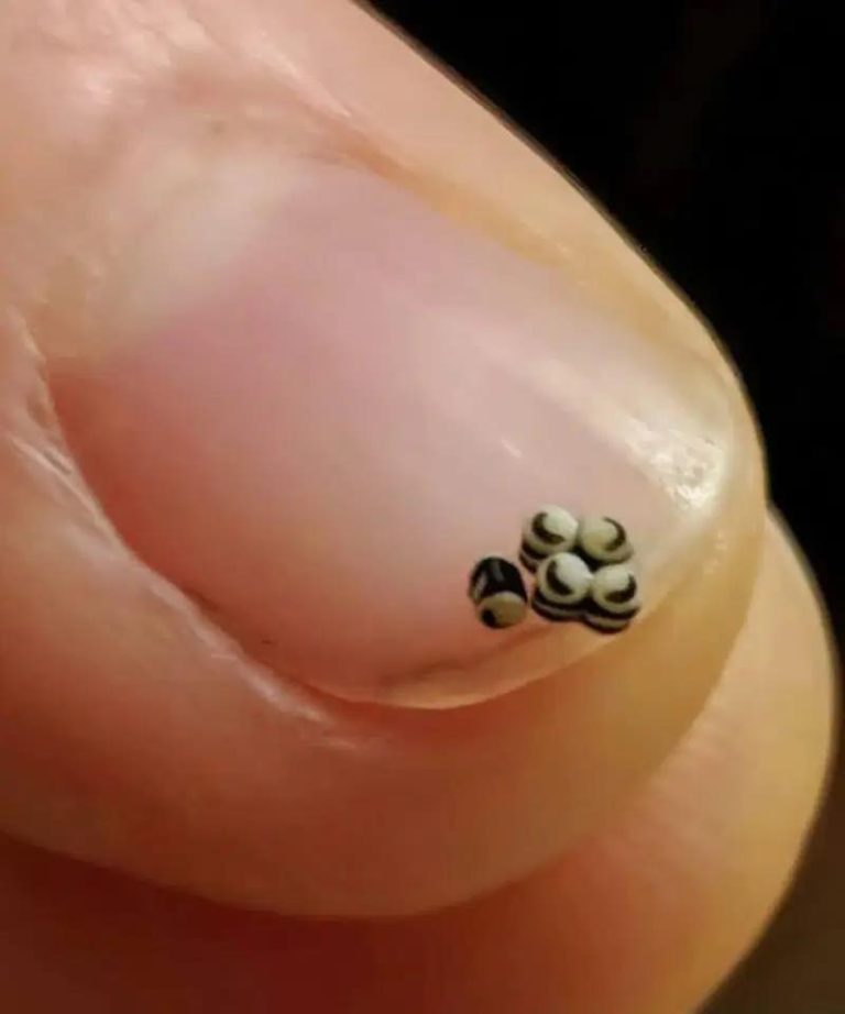 Zamówiliśmy sałatkę, ale w jedzeniu były małe czarne plamki – pojechaliśmy prosto do szpitala