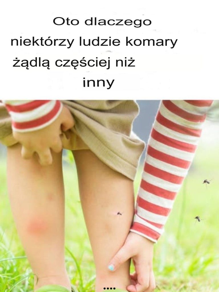 Oto dlaczego niektórzy ludzie mają więcej komarów niż inni