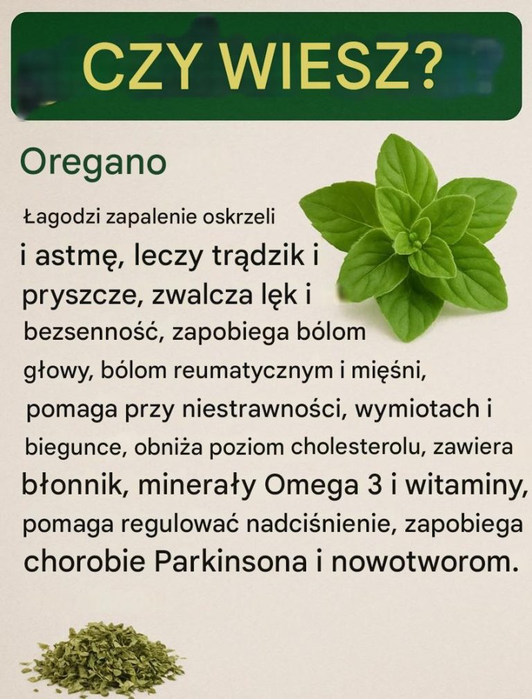 Jak zrobić olejek z oregano w domu – korzyści, zastosowania i środki ostrożności