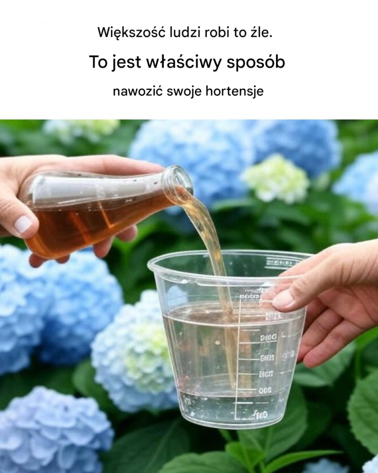 Nie mogę uwierzyć, że przez cały ten czas robiłem wszystko źle.