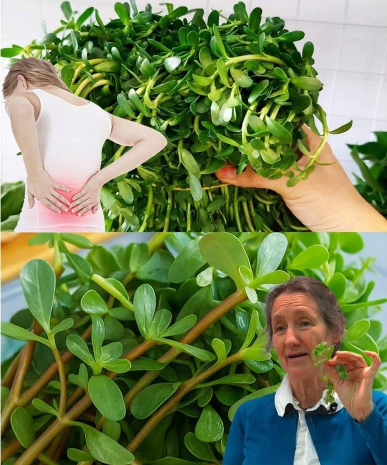 Pikantna superżywność, którą możesz zerwać za darmo