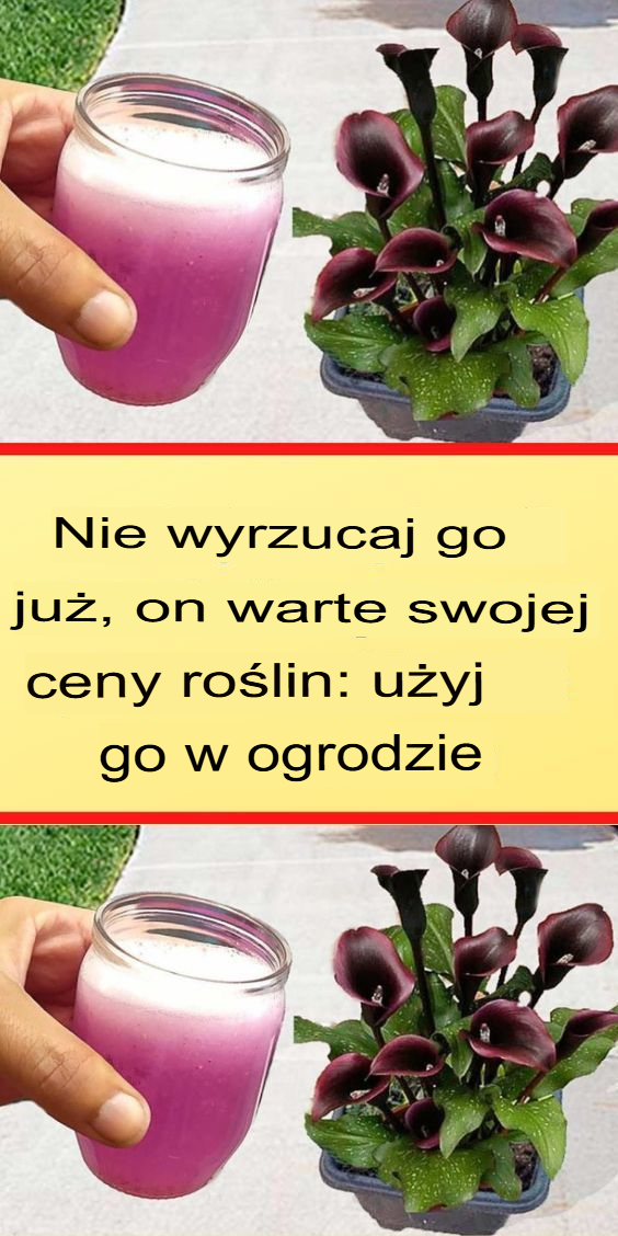 Nie wyrzucaj, to złoto dla twoich roślin: wykorzystaj w ogrodzie – haustiersos