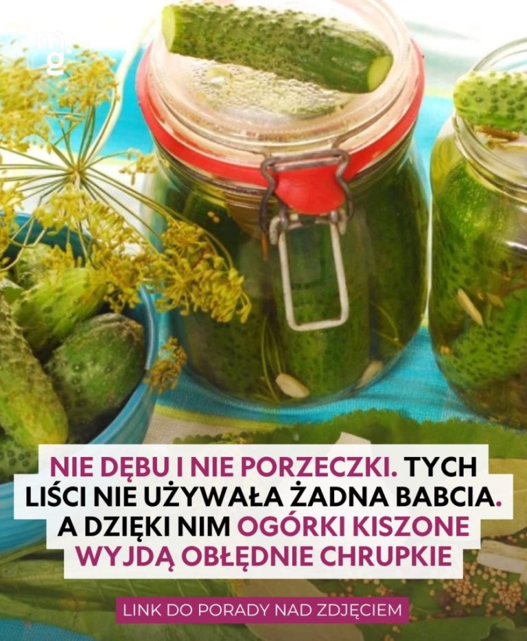 Nie dębu i nie porzeczki. Tych liści nie używała żadna babcia, a dzięki nim ogórki kiszone wychodzą obłędnie chrupkie