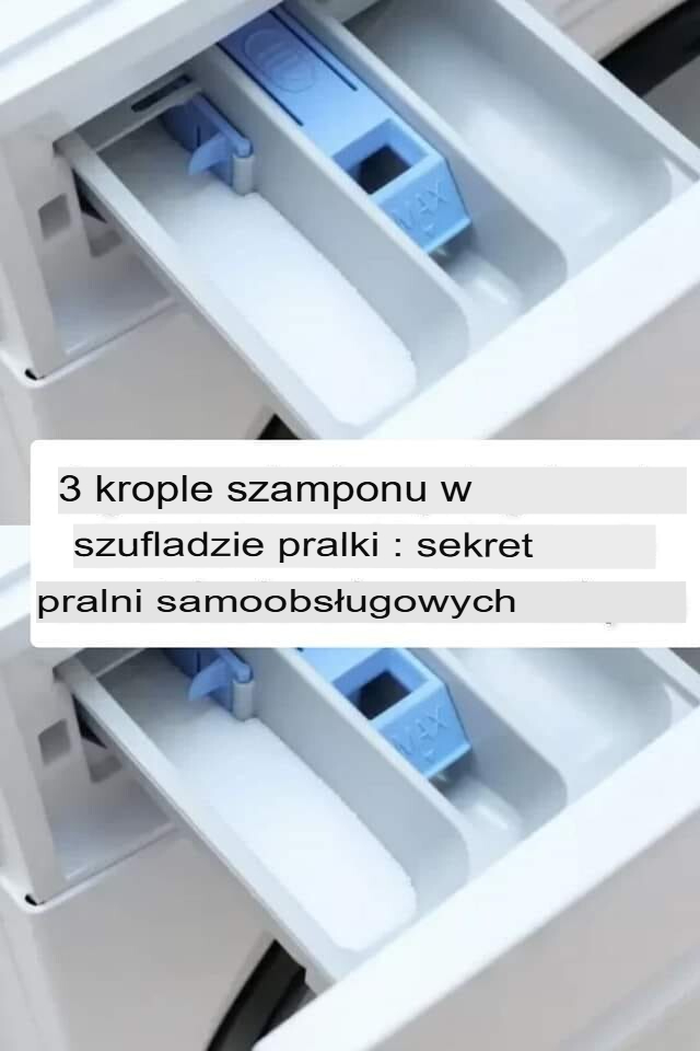 Nieoczekiwana moc szamponu: Zmień swoje pranie w luksusowe doświadczenie