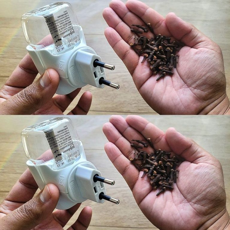 Odkryj naturalny sekret: goździki w pustym raju dla domu wolnego od komarów