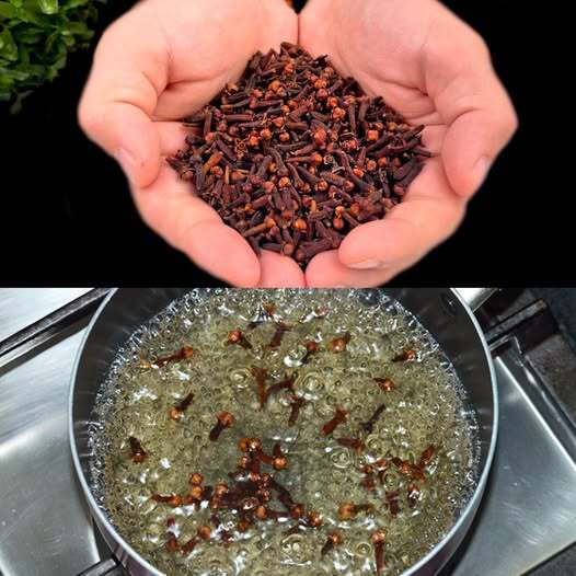 Wypiłam jedną szklankę i nie chorowałam od 15 lat! Wyraźny wzrok, jasny umysł – dzięki goździkom!