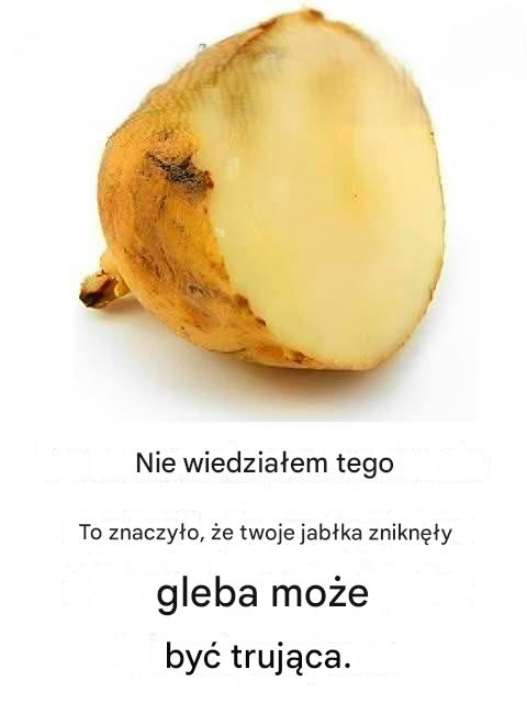Jak rozpoznać, że ziemniaki są trujące?
