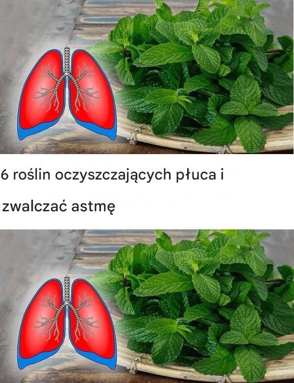 6 roślin umiera na długi czas i żyje dłużej