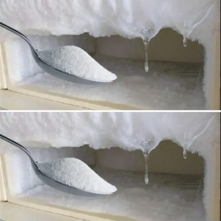 Oto co należy włożyć do zamrażarki, aby nigdy więcej nie zamarznąć