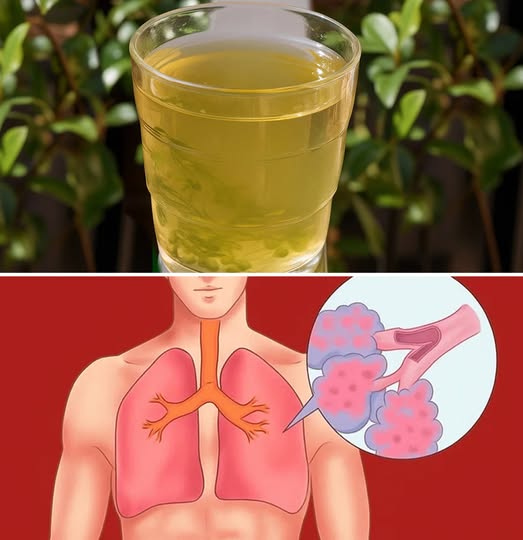 Herbata, która usuwa całą flegmę z płuc, odtruwa drogi oddechowe i leczy astmę