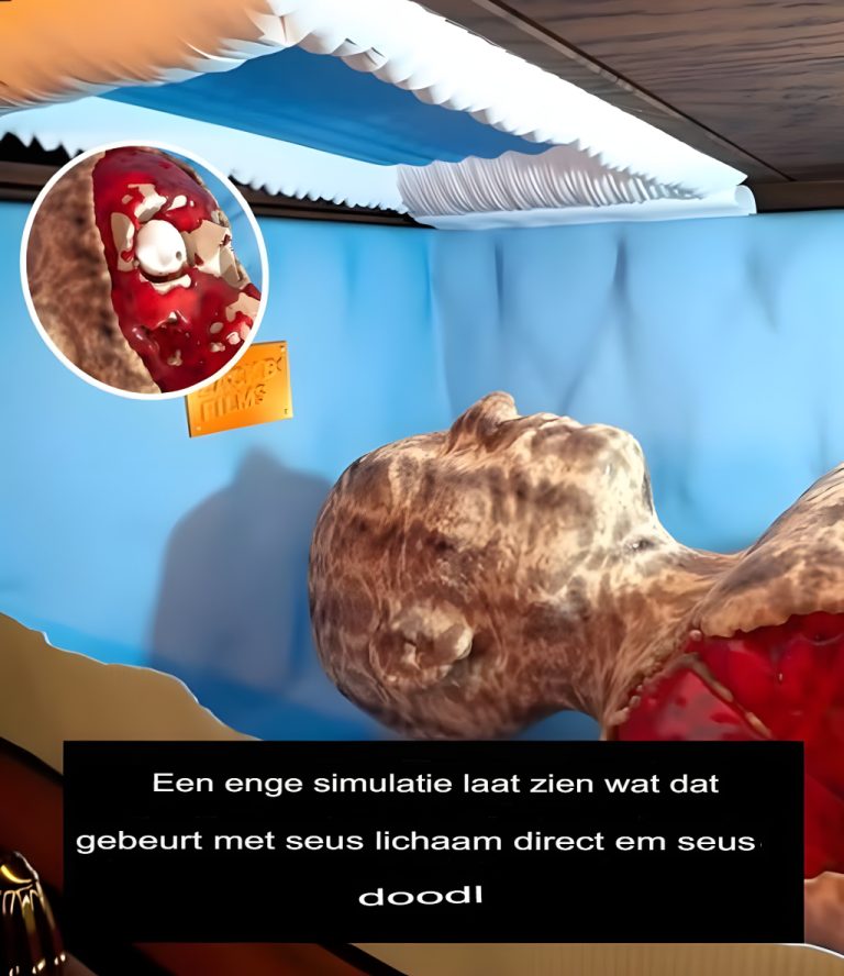 🧟‍♂️ Straszna symulacja pokazuje, co dzieje się z twoim ciałem tuż po śmierci… 😰