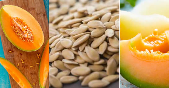 Nasiona zapobiegające nowotworom, wspomagające odrost włosów, leczące anemię i eliminujące zaparcia