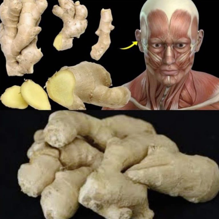 Korzyści zdrowotne wynikające ze spożywania imbiru