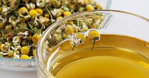 Rumianek nie tylko koi! Ma właściwości odmieniające życie.