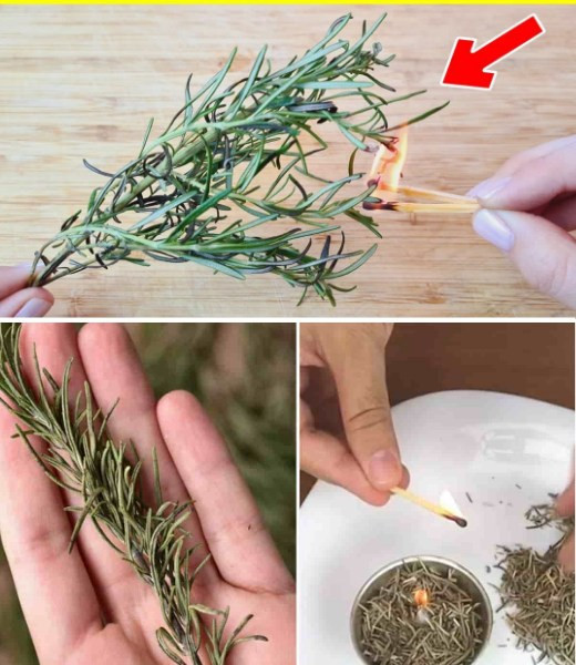 Zapal gałązkę rozmarynu w domu i zobacz, co się stanie po 10 minutach.