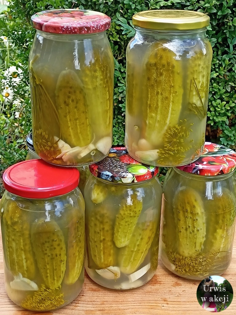 Sekret Domowej Piwniczki – Ogórki Kiszone z Naturalną Chrupkością