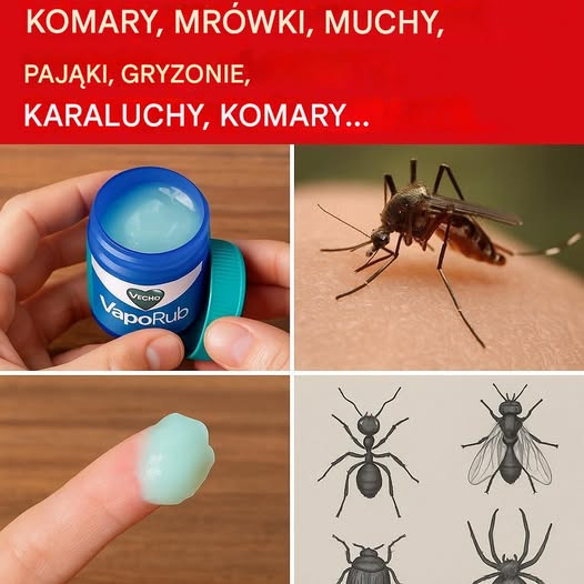 Vicks VapoRub: Twoja tajna broń w walce ze szkodnikami!